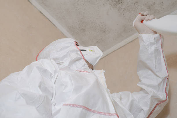 Best Commercial Mold Removal  in Fort Payne, AL