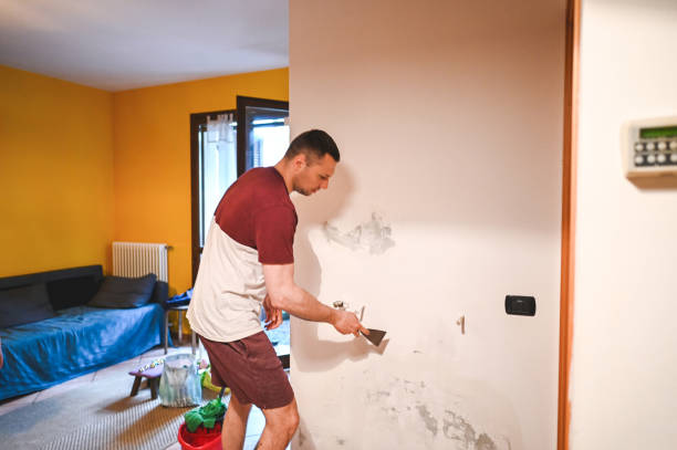 Best Local Mold Removal Service  in Fort Payne, AL
